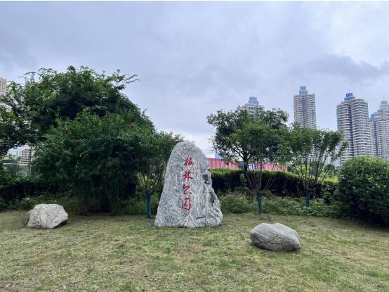 金沙集团3354.c.c(中国区)有限公司官网